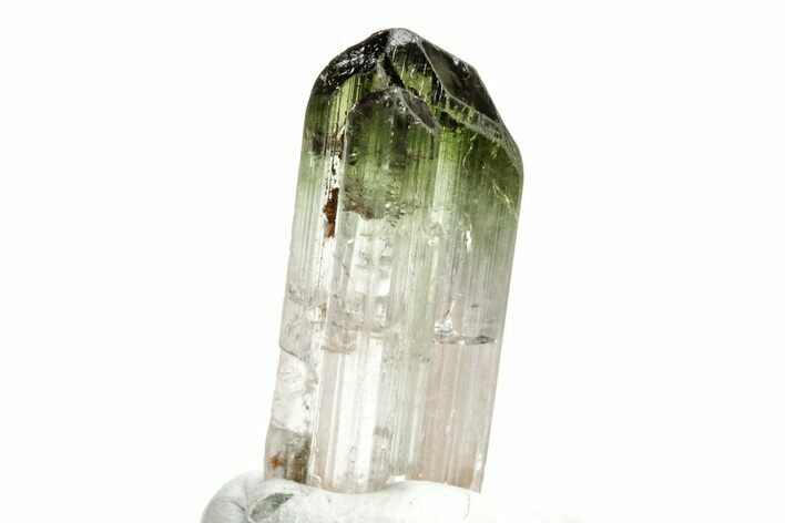 Bi-Colored Elbaite Tourmaline Crystal - Rubaya, Congo #206882